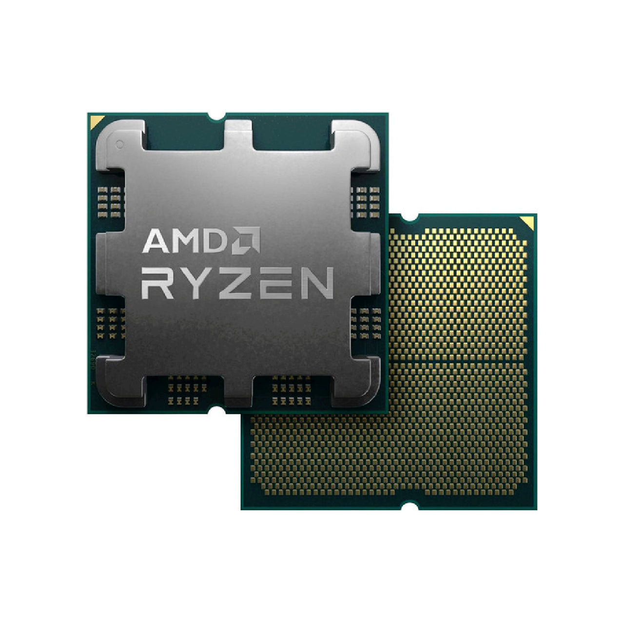 AMD - Ryzen 7 8700G - 5.1 GHz - 8-core - Socket AM5