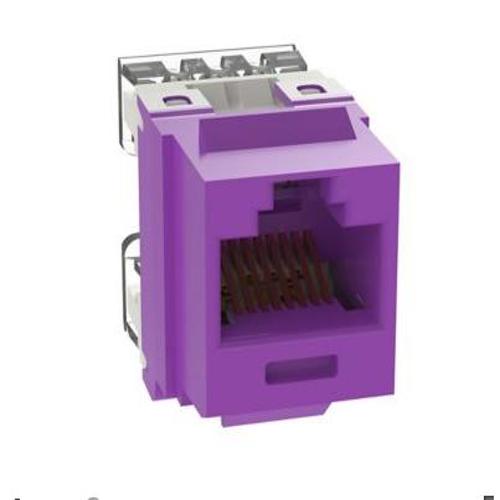 Panduit - Jack module - RJ45