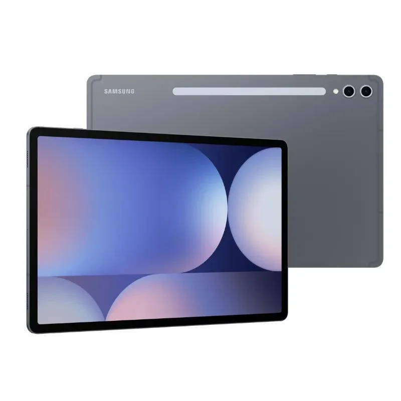 Tablet X820 Galaxy Tab S10