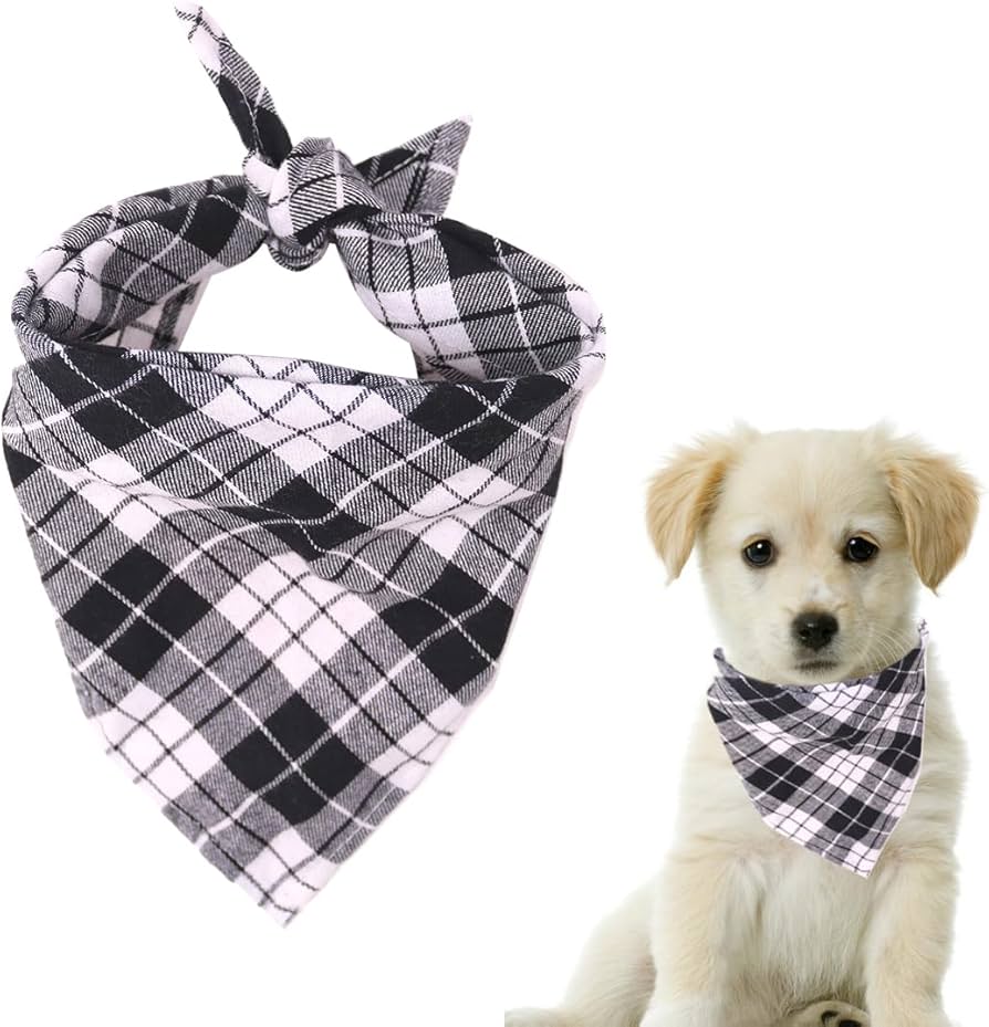 Motorola G24 - Smartphone - Android - Sky blue