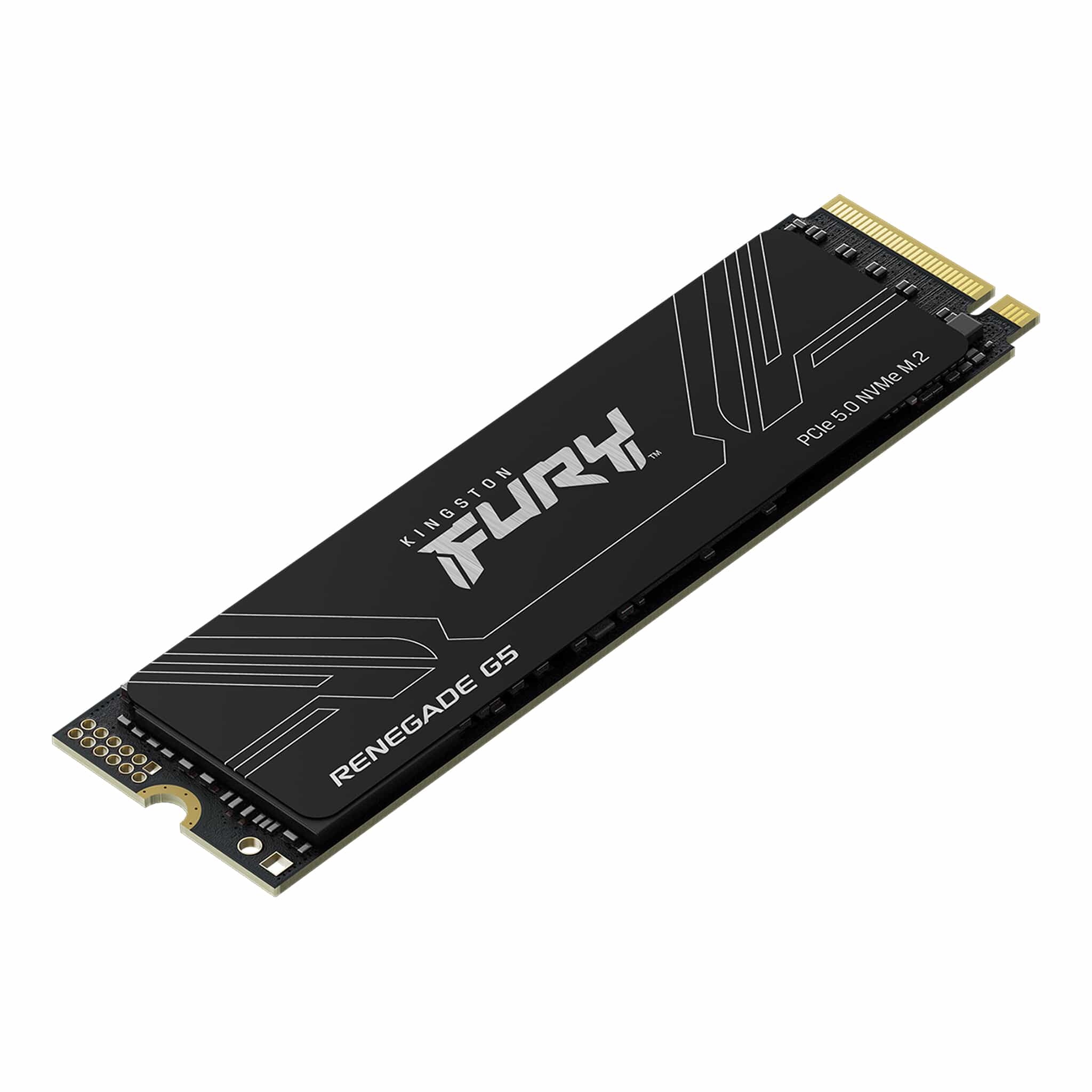 Kingston FURY - Internal hard drive - 1.024 TB - Solid state drive